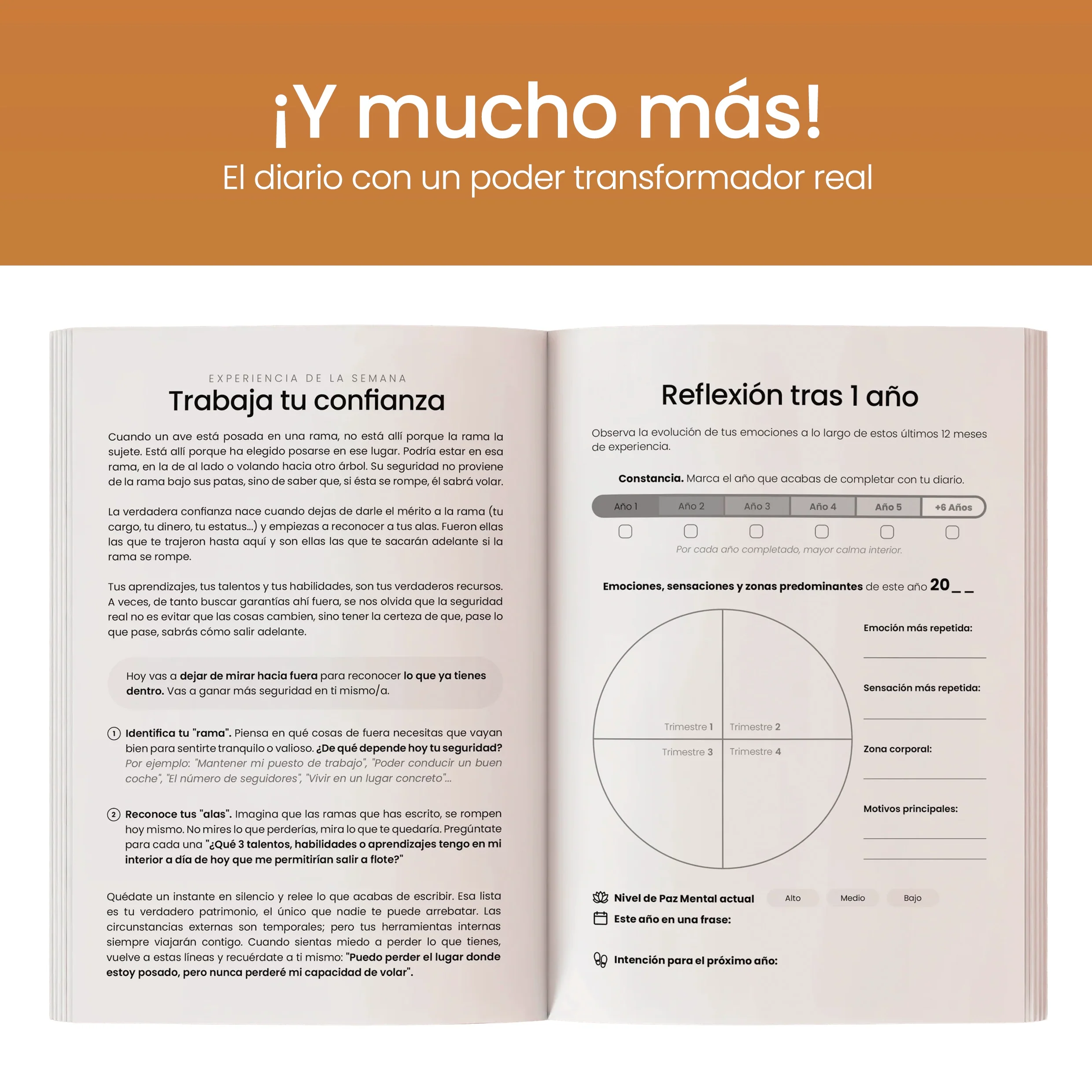 Imagen del producto 8